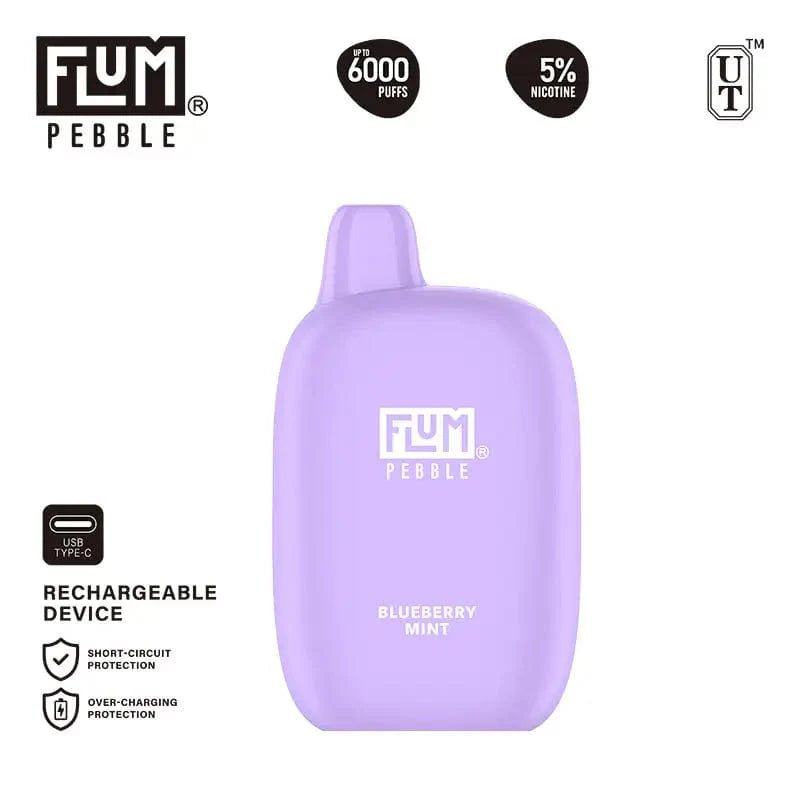 Flum Disposable Vape Blueberry Mint Flum Pebble Disposable Vape (5%, 6000 Puffs)