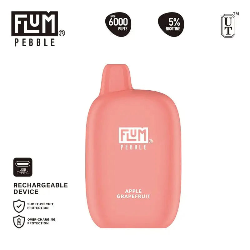 Flum Disposable Vape Flum Pebble Disposable Vape (5%, 6000 Puffs)
