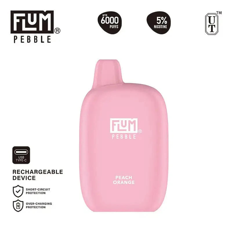 Flum Disposable Vape Flum Pebble Disposable Vape (5%, 6000 Puffs)
