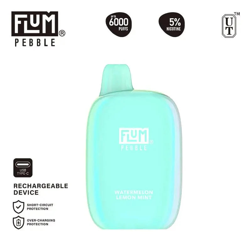 Flum Disposable Vape Flum Pebble Disposable Vape (5%, 6000 Puffs)