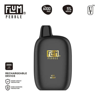 Flum Disposable Vape Icy Mint Flum Pebble Disposable Vape (5%, 6000 Puffs)